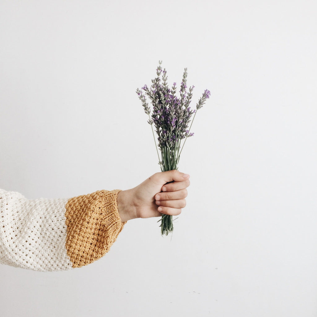 Lavender essential oil - more than just a fragrance